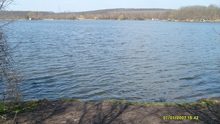 szekito April 2011 014.JPG