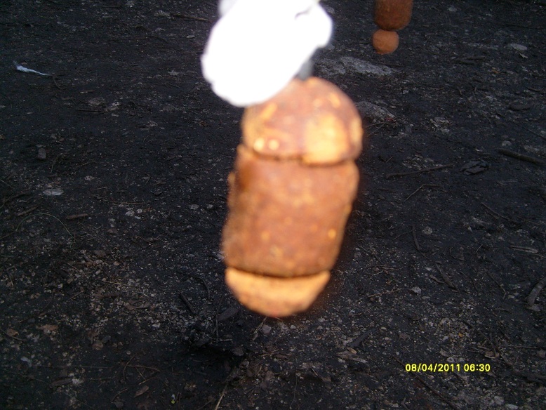 szekito April 2011 104.JPG
