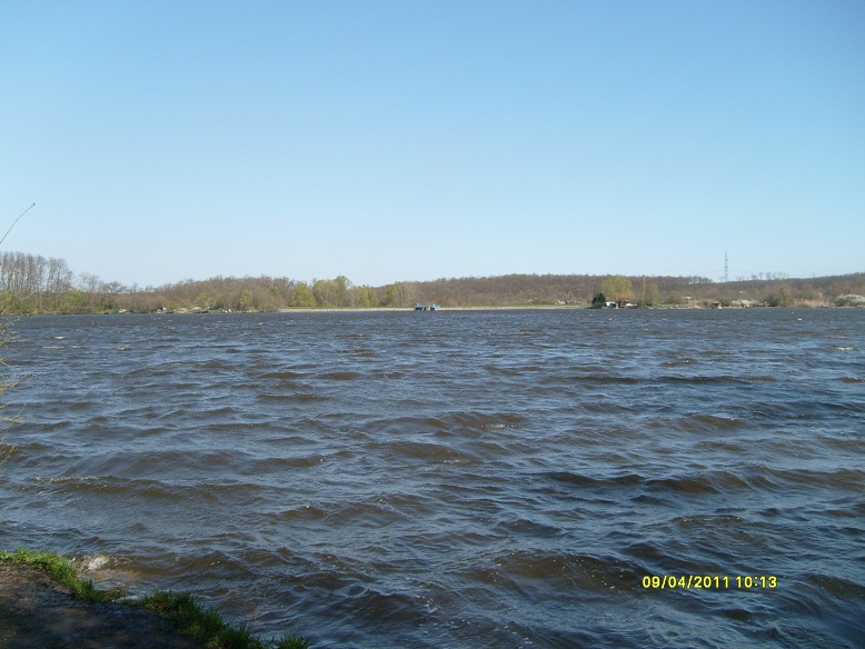 szekito April 2011 134.JPG